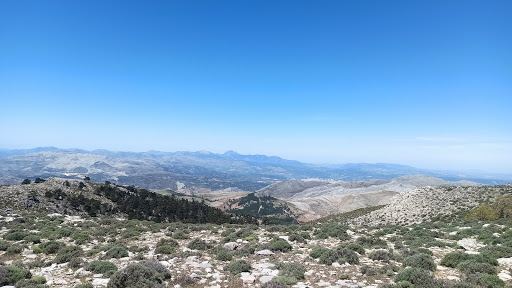 Puerto de los Pilones.Altitud 1750m - Thumbnail