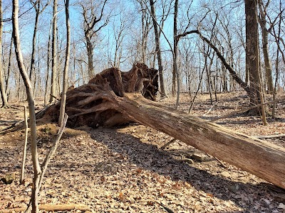 Mills Reservation Parking Lot