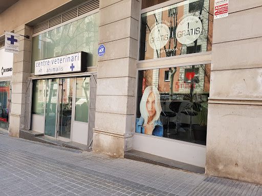 Centro Veterinario Animalis Gallery - Spain