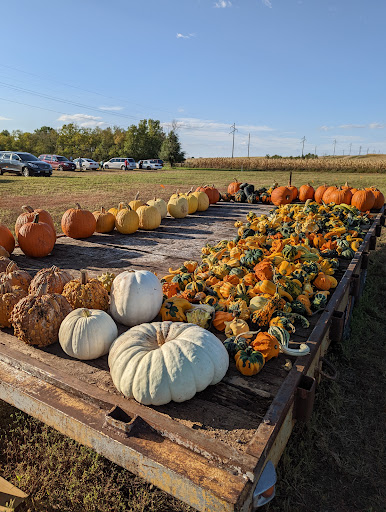Our Farm SD - Thumbnail
