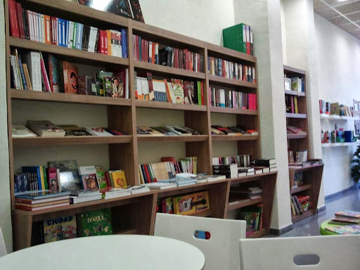 El paseo de los libros