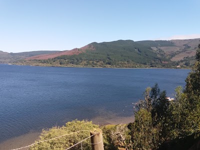 Photos of Caba&ntilde;as Las Araucarias