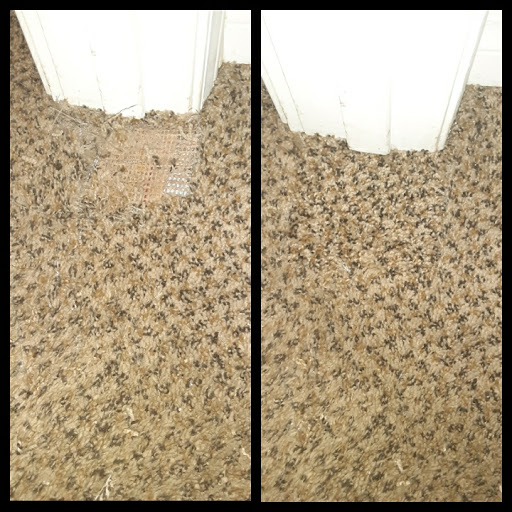 Moses Master Carpet Cleaning