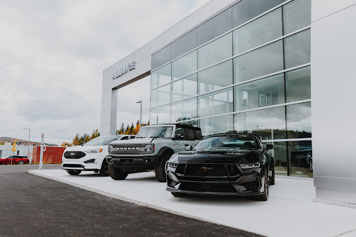 Alliance Ford - Visual