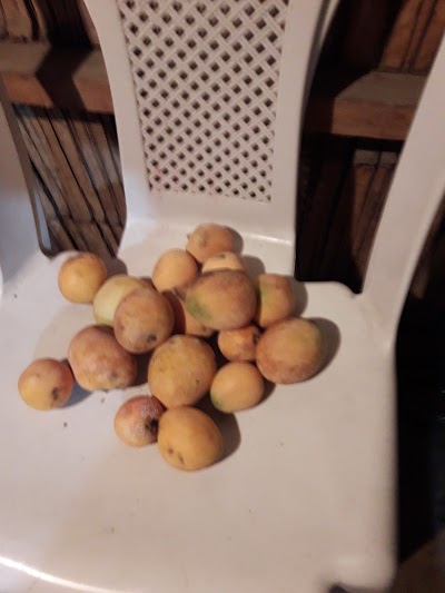 Photos of Panader&iacute;a Y Pasteler&iacute;a La Favorita