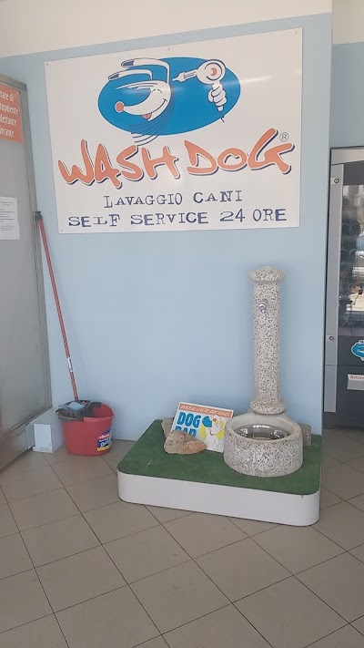 Wash Dog Cat