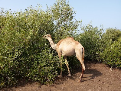 Photos of Beach Of Douda