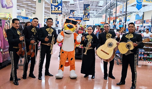 Mariachis en CDMX | Mariachi México de Noche de Plaza Garibaldi |