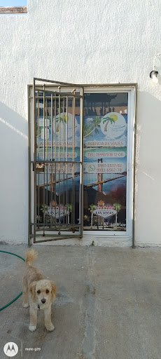 Viajes Avignon Gallery - Mexico