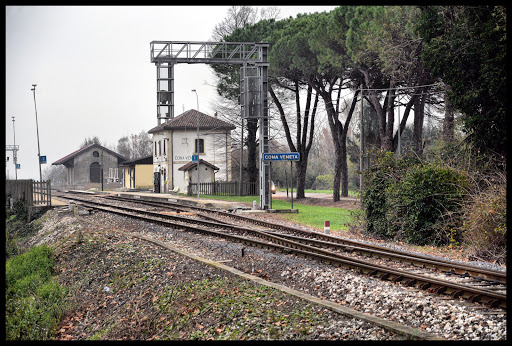 Comune di Cona - Visual
