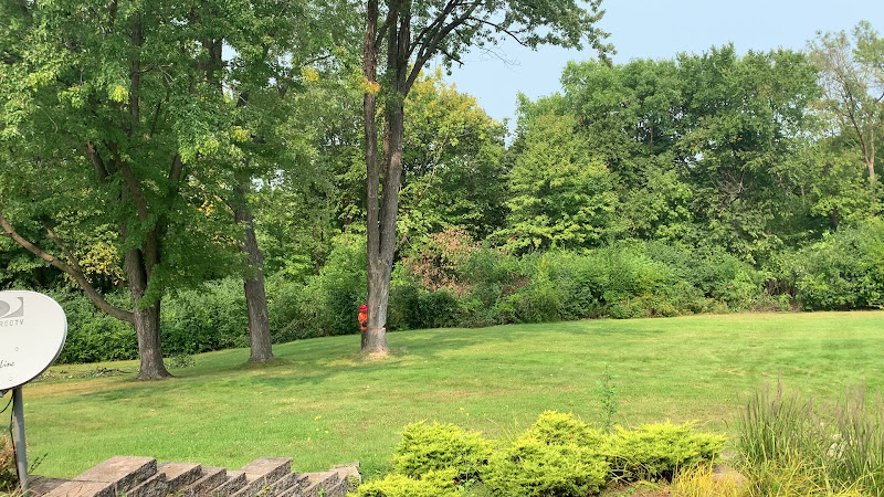 Minnesota Nice Tree Service, LLC.