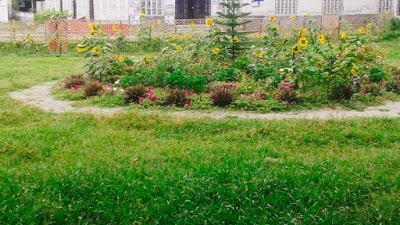Photos of Green Welfare Center Field