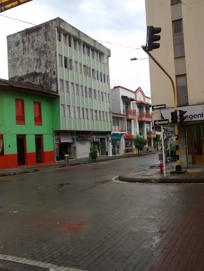 Photos of las Corocoras