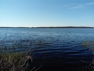Photos of Tammeluha matkarada