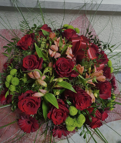 STUDIO ART FLOR CAMELIA - Kwiaciarnia