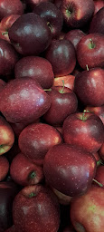 Photo n°5 de EARL LES DIGUES à Pont-Saint-Esprit (Grossiste en fruits)