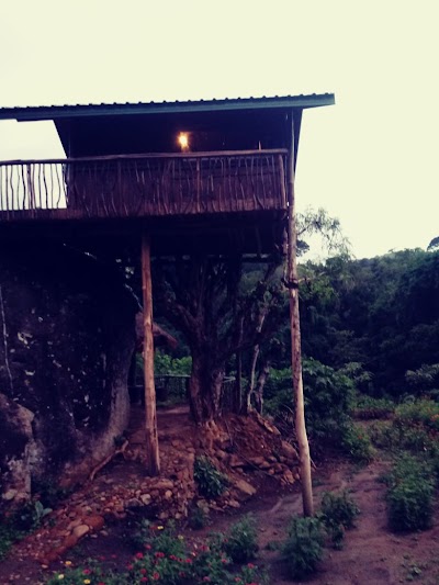 Photos of Nisala - The Forest Sanctuary