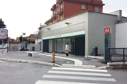 Finocchio - Visual