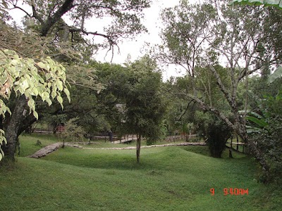Photos of Mara Hippo Safari Lodge