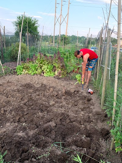 West Side Community Gardens