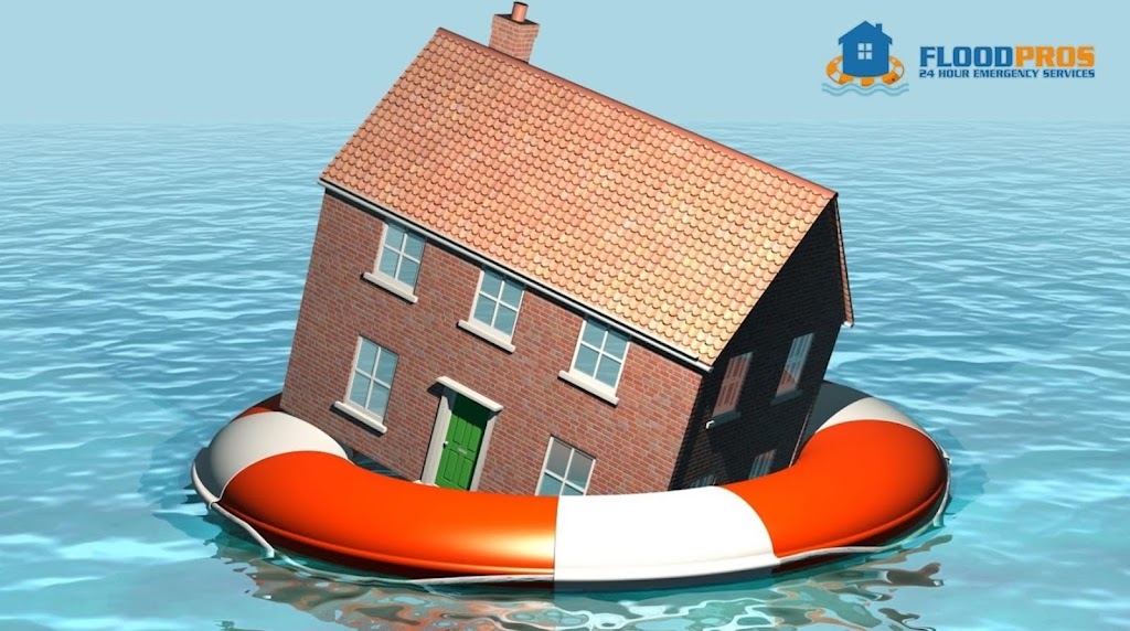 Flood Pros USA photo