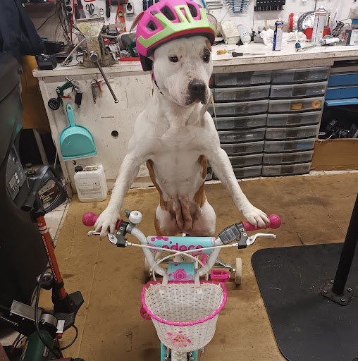 Jura Cycles - Thumbnail
