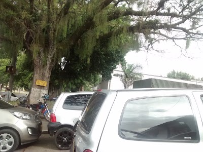 Photos of Transito Cartago