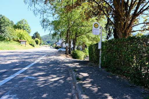 Bühlertal Schindelpeter - Thumbnail