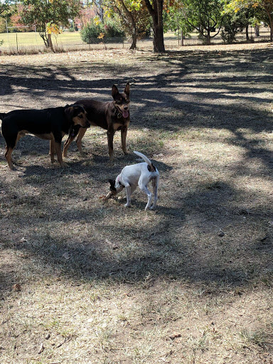 Southern Dog Park