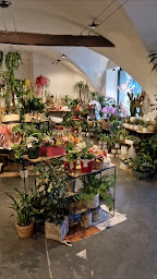 Photo n°23 de Atelier des fleurs à Grand-Aigueblanche (Caviste)