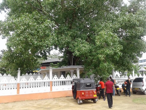 Sri Saddharma Rajitha Viharaya, Author: Sanjaya Thisara