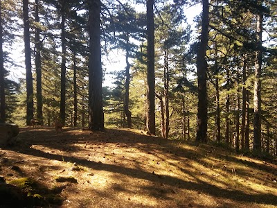 Qafshtama National Park