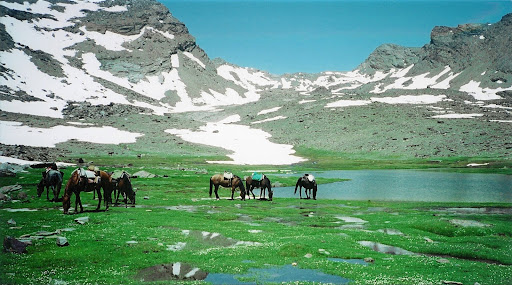 Caballo Park - Visual
