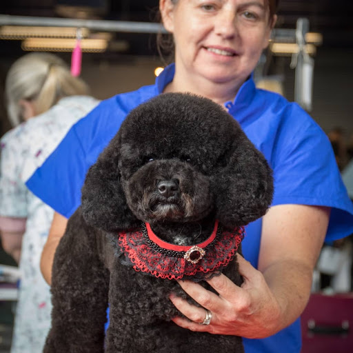 Posh Dog Pet Grooming - Thumbnail