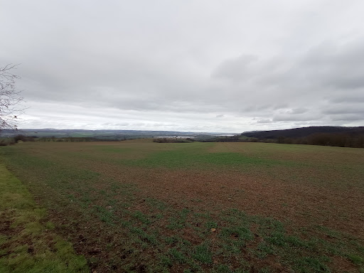 Ochsenberg - Visual