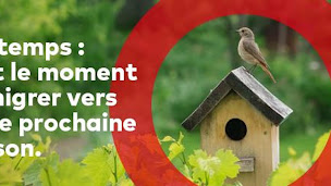 Photo n°15 de Orpi Bernard Immobilier à Agde (Agence de location immobilière)