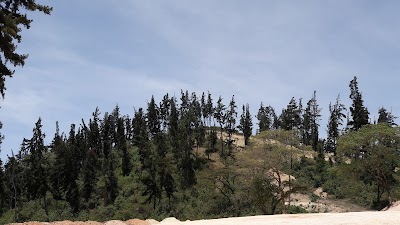 Photos of Kamatira Forest