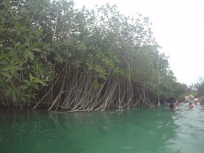 Photos of Laguna Tours Muyil