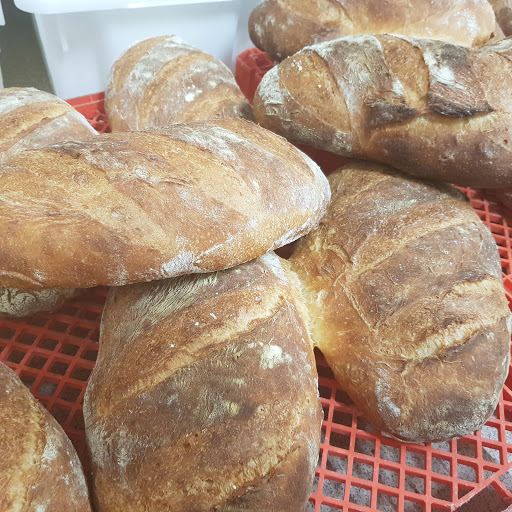 Gio's Bread - Visual