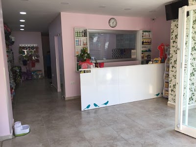 Photos of Petklinik - Veteriner