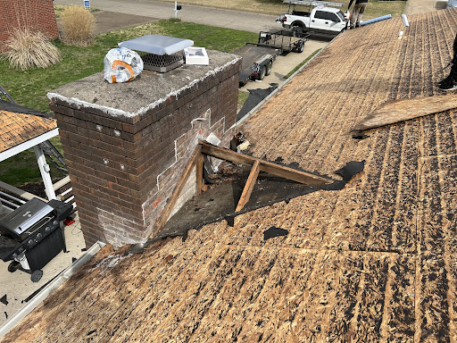 Rooted Repairs - Visual