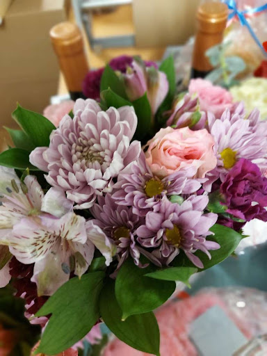 Fleur-Quebec - Visual