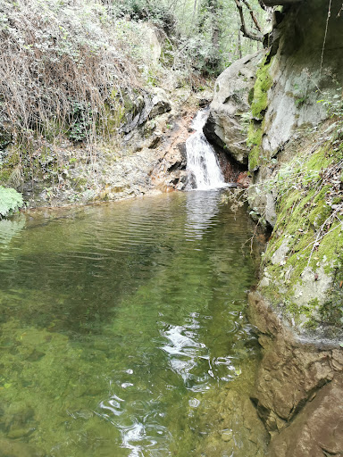 Dennis Wasserfall - Thumbnail