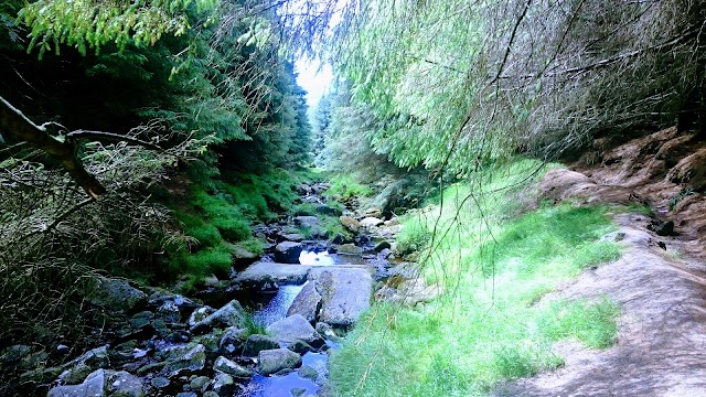Comté de Wicklow
