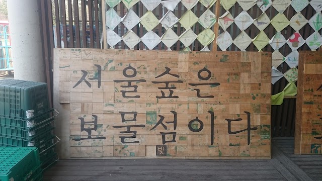 Seoul Forest Skate Park