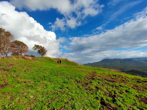 Tuscolo - Visual