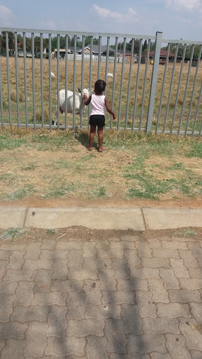 Photos of Bokkiepark Dierekliniek Animal Clinic Veterinary Hospital