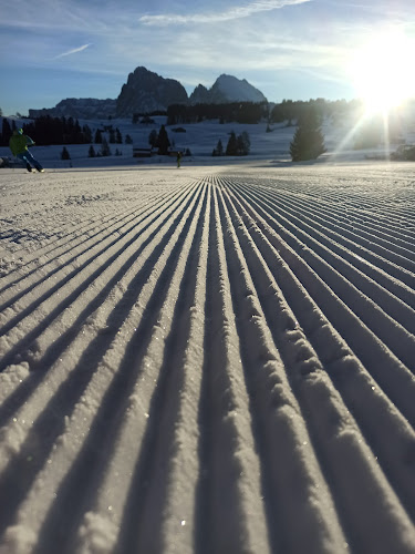 Ski-World - Nauka i doskonalenie jazdy na nartach (Półkolonie i szkolenia) - Tarnów