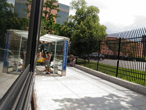 West Kingsbridge Rd/Sedgwick Ave - Thumbnail