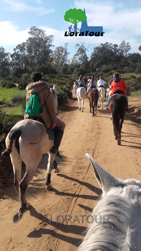 LORATOUR, Turismo de Naturaleza y Cultural